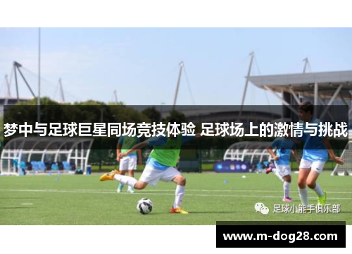 梦中与足球巨星同场竞技体验 足球场上的激情与挑战 梦中与足球巨星同场竞技体验 足球场上的激情与挑战