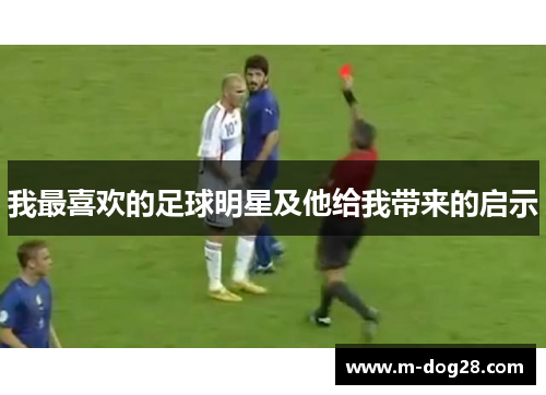 我最喜欢的足球明星及他给我带来的启示 我最喜欢的足球明星及他给我带来的启示