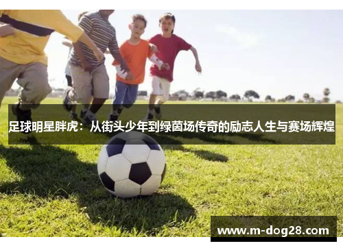 足球明星胖虎:从街头少年到绿茵场传奇的励志人生与赛场辉煌 足球明星胖虎:从街头少年到绿茵场传奇的励志人生与赛场辉煌