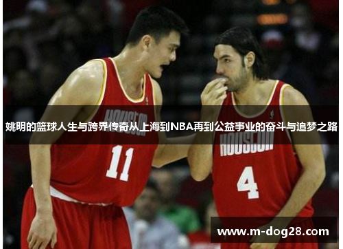 姚明的篮球人生与跨界传奇从上海到NBA再到公益事业的奋斗与追梦之路 姚明的篮球人生与跨界传奇从上海到NBA再到公益事业的奋斗与追梦之路