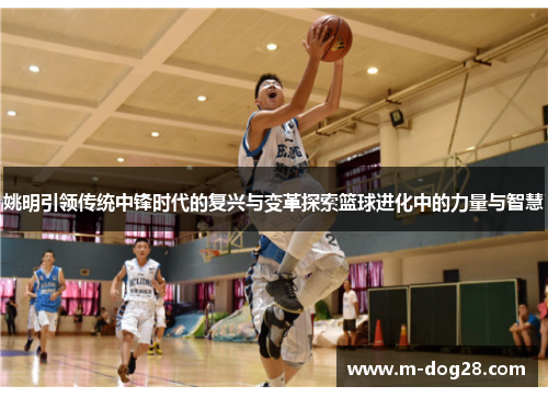 姚明引领传统中锋时代的复兴与变革探索篮球进化中的力量与智慧 姚明引领传统中锋时代的复兴与变革探索篮球进化中的力量与智慧