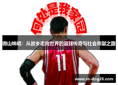 微山姚明:从故乡走向世界的篮球传奇与社会贡献之路 微山姚明:从故乡走向世界的篮球传奇与社会贡献之路