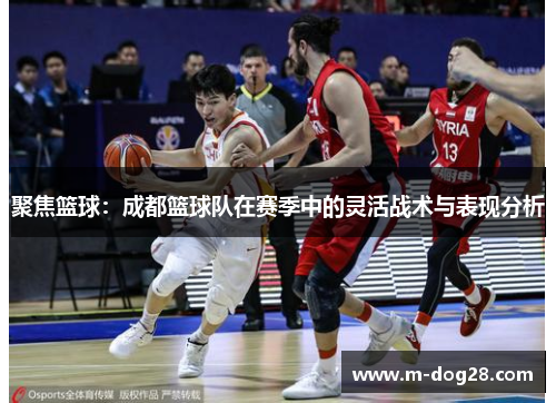 聚焦篮球：成都篮球队在赛季中的灵活战术与表现分析