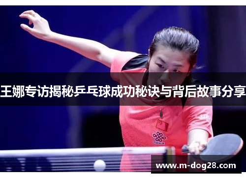 王娜专访揭秘乒乓球成功秘诀与背后故事分享