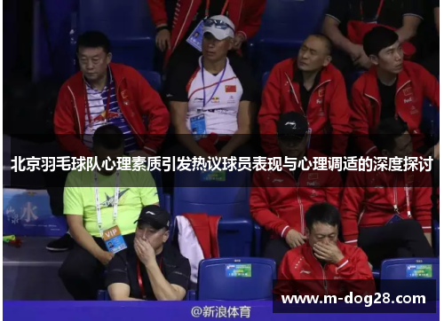 北京羽毛球队心理素质引发热议球员表现与心理调适的深度探讨