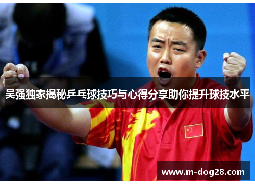 吴强独家揭秘乒乓球技巧与心得分享助你提升球技水平
