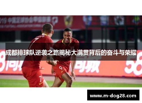 成都排球队逆袭之路揭秘大满贯背后的奋斗与荣耀