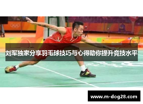 刘军独家分享羽毛球技巧与心得助你提升竞技水平