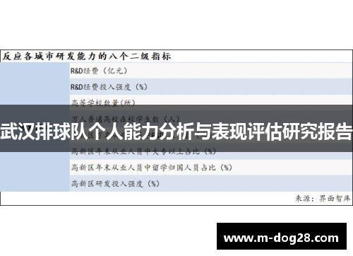 武汉排球队个人能力分析与表现评估研究报告