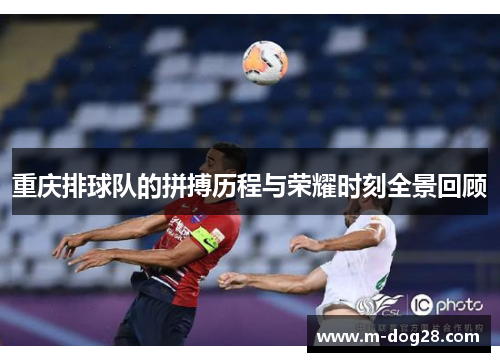 重庆排球队的拼搏历程与荣耀时刻全景回顾