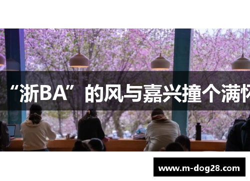 “浙BA”的风与嘉兴撞个满怀 “浙BA”的风与嘉兴撞个满怀