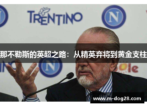 那不勒斯的英超之路:从精英弃将到黄金支柱 那不勒斯的英超之路:从精英弃将到黄金支柱